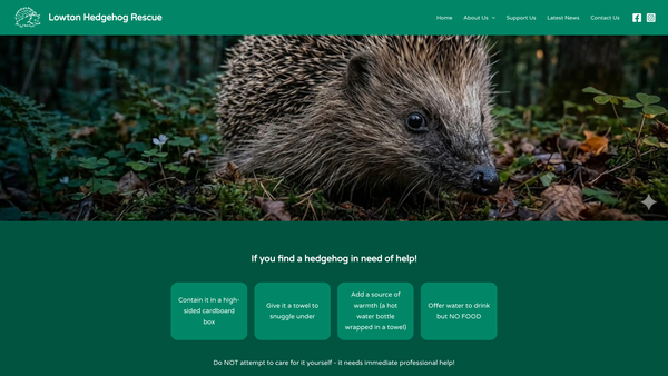 Screenshot of the Lowton Hedgehog Rescue website