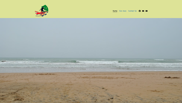 Screenshot of the Playing With Waves Foundation website