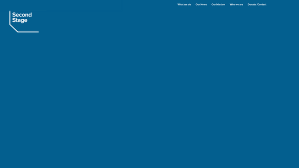 Screenshot of the Second Stage website