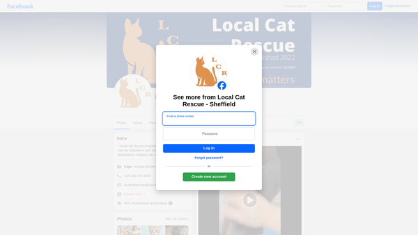 Screenshot of the Local Cat Rescue website
