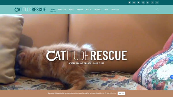 Screenshot of the Catitude Cat Rescue website