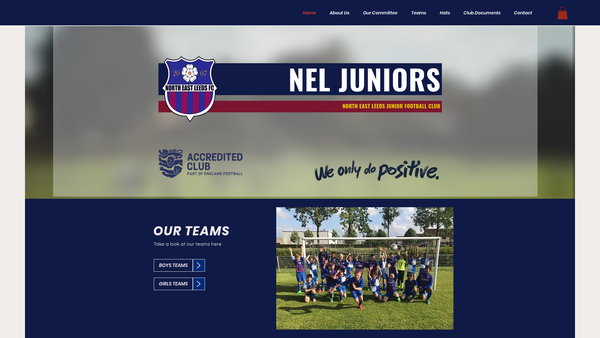 Screenshot of the North East Leeds FC website