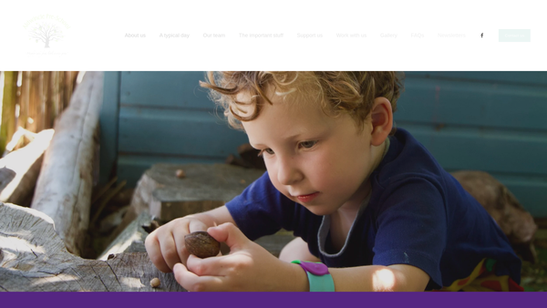 Screenshot of the Aldwincle Pre-School website