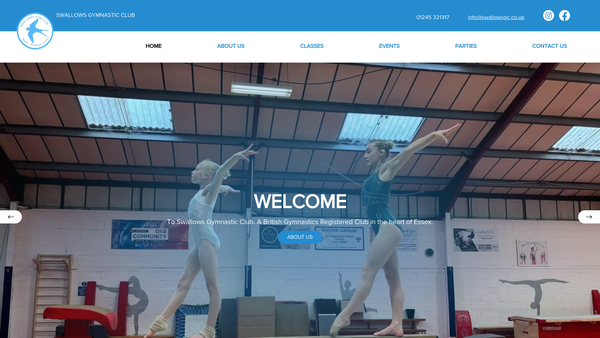 Screenshot of the Swallows Gymnastics website