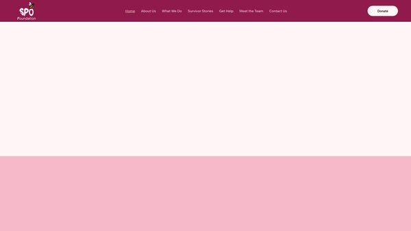 Screenshot of the Stephanie & Patrick Obidoyin Foundation website
