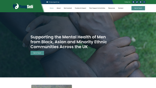 Screenshot of the Yang Seli website
