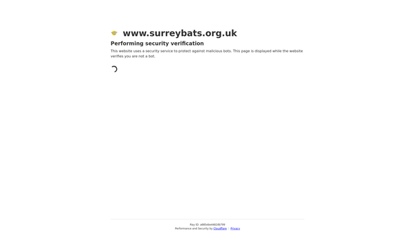 Screenshot of the The Surrey Bat Group website