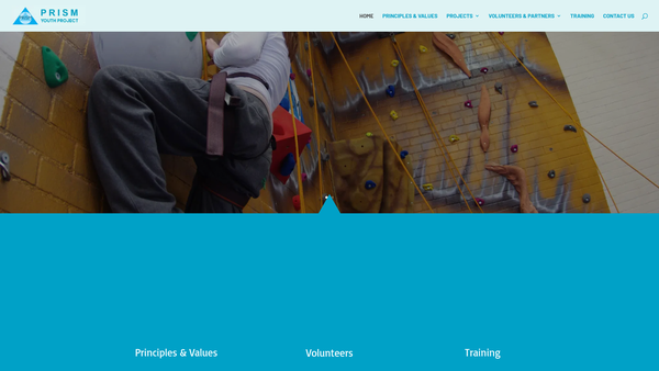 Screenshot of the Prism Youth Project website