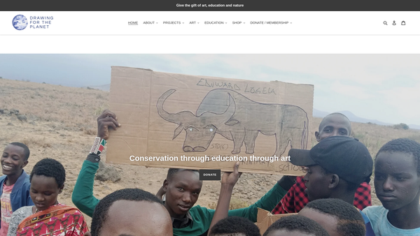 Screenshot of the Drawing For The Planet International website