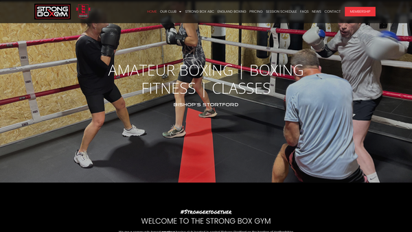 Screenshot of the Strong Box website