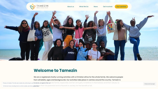Screenshot of the Tamezin Ltd website