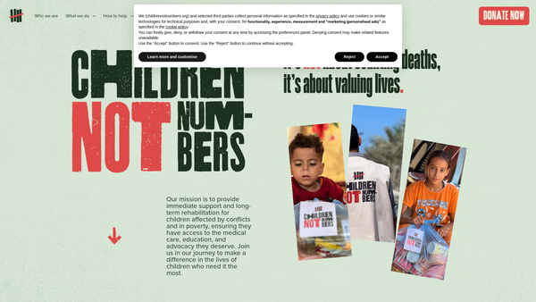 Screenshot of the Children Not Numbers International Ltd website