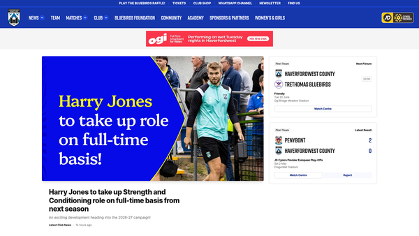 Screenshot of the Bluebirds Foundation website