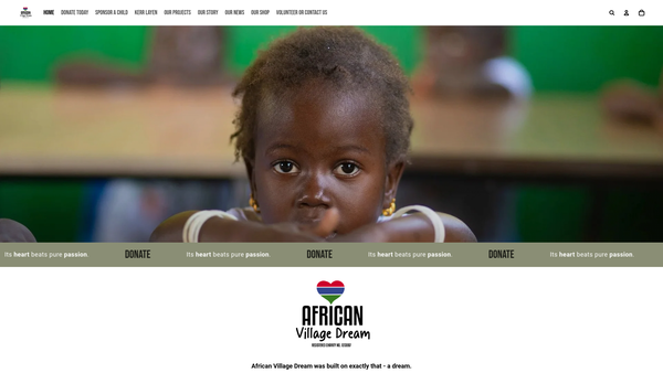 Screenshot of the African Village Dream website