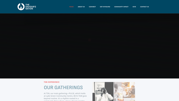 Screenshot of the The Saviour's Nation website