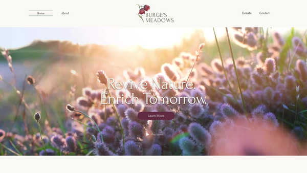 Screenshot of the Burge's Meadows website