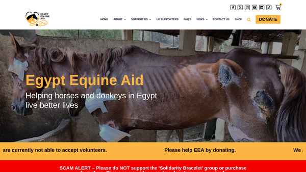 Screenshot of the Egypt Equine Aid UK website