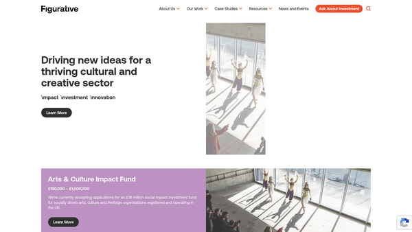 Screenshot of the Arts & Culture Finance website
