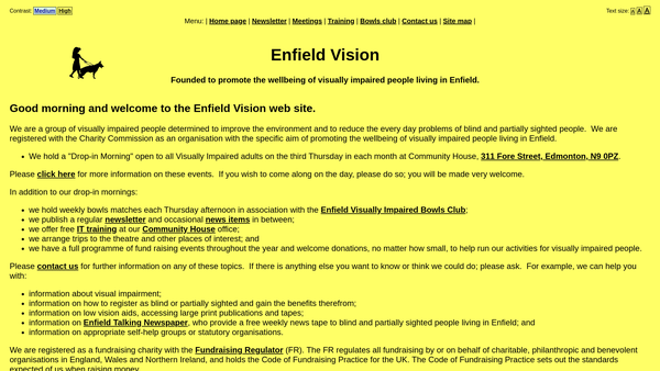Screenshot of the Enfield Vision website