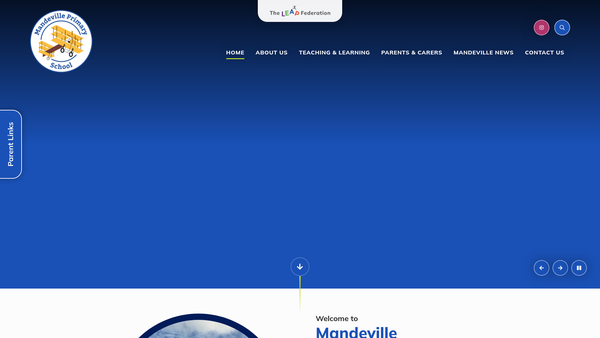 Screenshot of the Mdv Helping Hands website