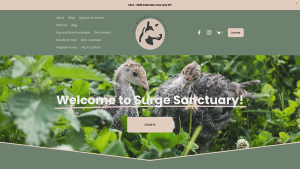 Screenshot of the Surge Sanctuary website