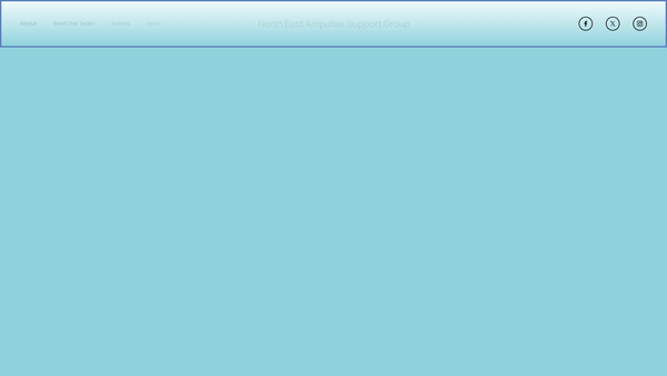Screenshot of the North East Amputee Support Group website