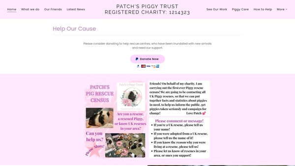 Screenshot of the Patchs Piggy Trust website