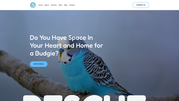 Screenshot of the Budgie Rescue Wirral website