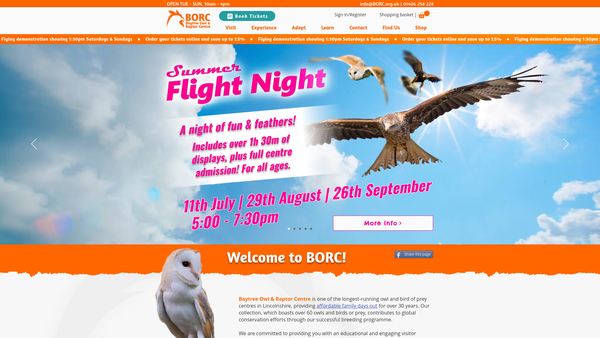 Screenshot of the Baytree Owl And Raptor Centre website