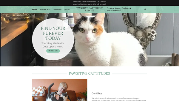 Screenshot of the Pawsitive Cattitudes Rescue website