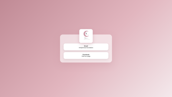 Screenshot of the Nina's Foundation website