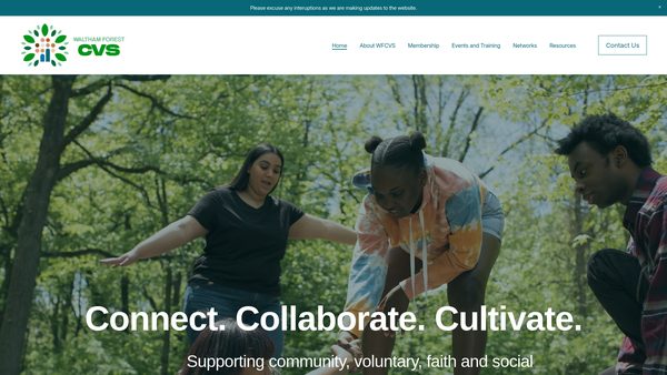 Screenshot of the Waltham Forest Cvs website