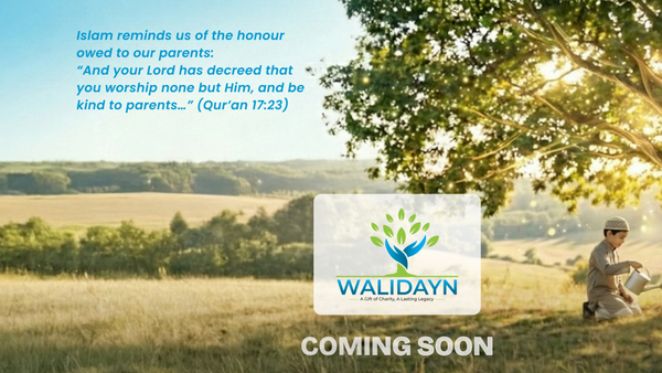 Screenshot of the Walidayn website