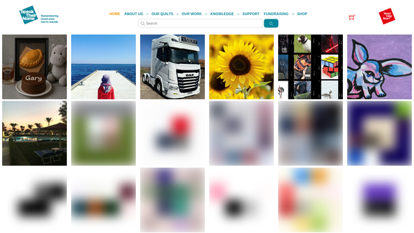 Screenshot of the Speak Their Name CIO website