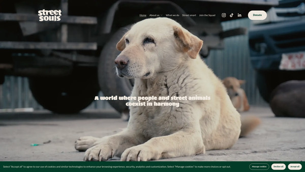 Screenshot of the Street Souls website