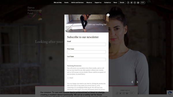 Screenshot of the Dance Professionals Fund website