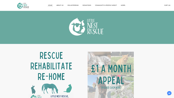 Screenshot of the Little Nest Rescue CIO website