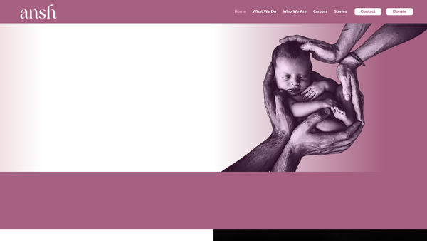 Screenshot of the Ansh UK website