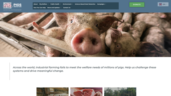 Screenshot of the Pigs Protection website