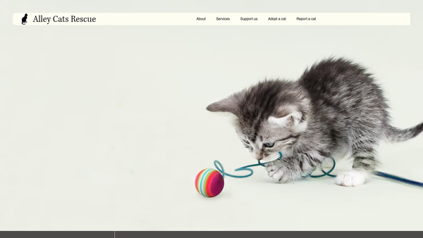 Screenshot of the Alley Cats Rescue website