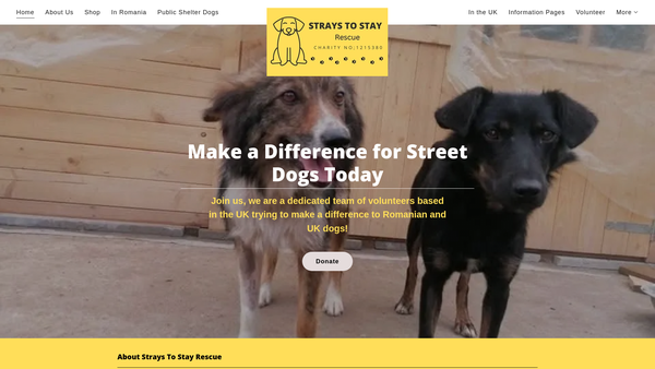 Screenshot of the Strays To Stay website