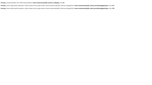 Screenshot of the Commissioned website