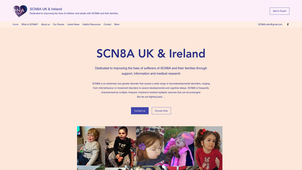Screenshot of the Scn8a UK And Ireland website