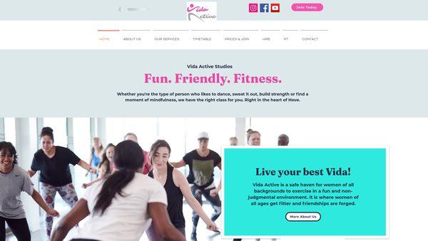 Screenshot of the Vida Foundation website