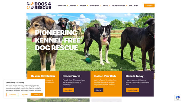Screenshot of the Dogs 4 Rescue CIO website