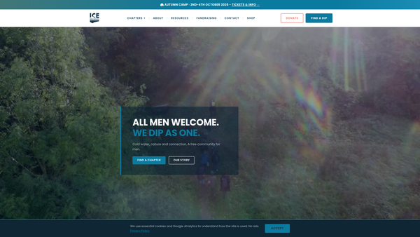 Screenshot of the Icebreakers website