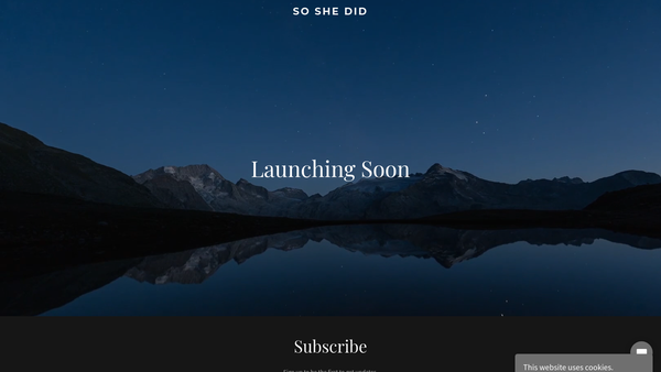 Screenshot of the So She Did website