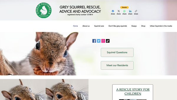 Screenshot of the Urban Squirrels website