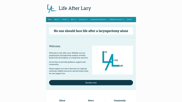 Screenshot of the Life After Lary website