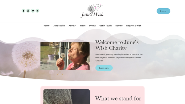 Screenshot of the June's Wish website